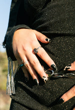 Load image into Gallery viewer, MANE ATTRACTION