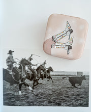 Load image into Gallery viewer, Almost Famous Jewelry Case
