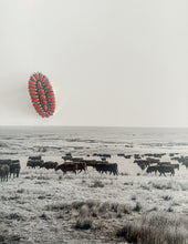 Load image into Gallery viewer, Doc Holliday Ring
