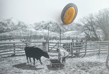 Load image into Gallery viewer, Bumble Bee Jasper Ring

